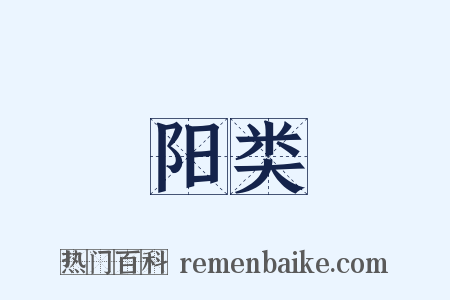 阳类是什么意思的图片